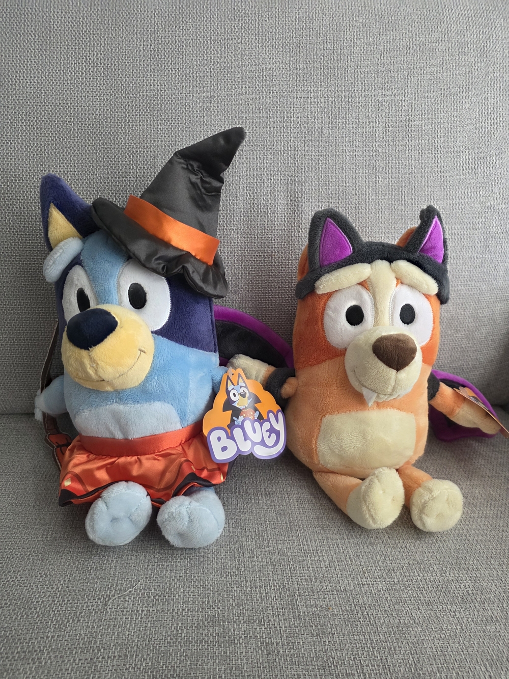 Bluey and Bingo Halloween Style